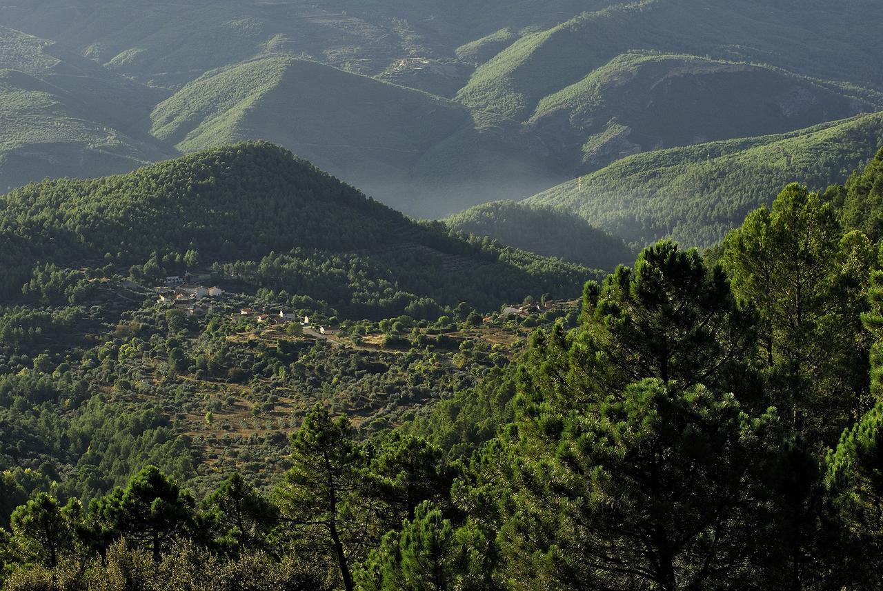 Casas Rurales Tio Frasquito Y Cleto Yeste Luaran gambar